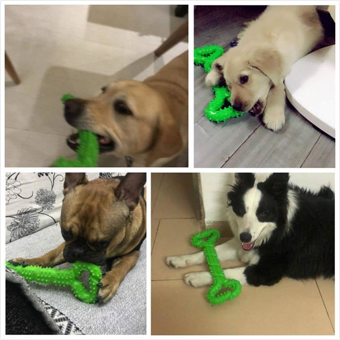 Chien Jouets à mâcher Résistant en Caoutchouc 12 inch interactif Solide pour Les Chewers Agressifs Petits et Grands Chiens