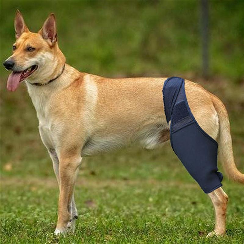 Pet Knee Pads Dog Support Brace Breathable Injury Recover Legs Wrap Ligaments Support Injury Care Dog Wrap Pet Dog Supplies
