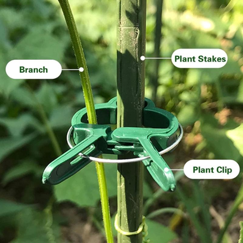 Plastic Plant Support Clips Plastic Clips Suitable for Securing Plant Tomato Vine Clips Plant Fixing Clips for Climbing