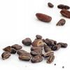 Datle s kakaem v raw čokoládě 50% bio 70g