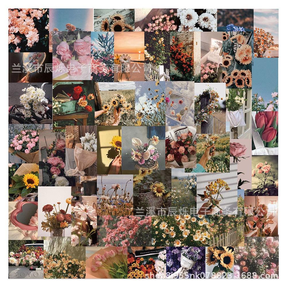 Trendy Fresh Small Landscape Sticker Set 900 Pcs For Notebooks Laptops And Water Bottles