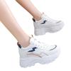 2025 spring and autumn height increase dad shoes women's new ins trendy small versatile thick-soled velvet sports and leisure shoes