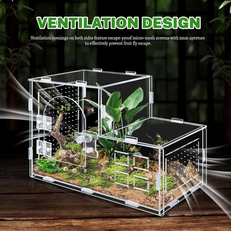 Reptilien Terrarium für Springspinnen Schlange Mit Klarem Beobachtungsdesign Und Sicheren Befestigungen Für Amphibien Lebensräume Box