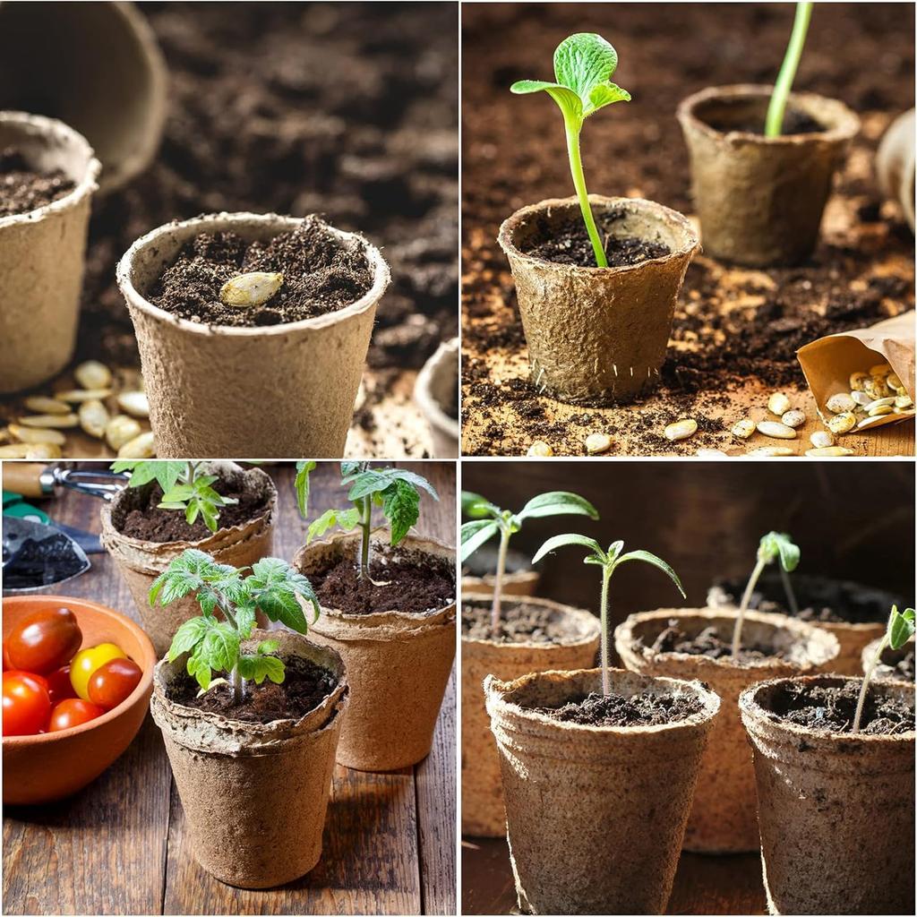 Skycabin Seedling Cultivation Paper Plant Set of Diameter Seedling Seedling Seed Plant Vegetable Gardening Home Gardening Pots, Pots, Pots, 100, 8cm,