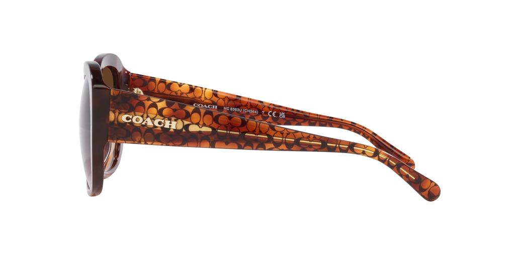Sunglasses HC8363U CH564 CARAMEL TORTOISE GRADIENT Lens 56 [Coach] Frame/BROWN