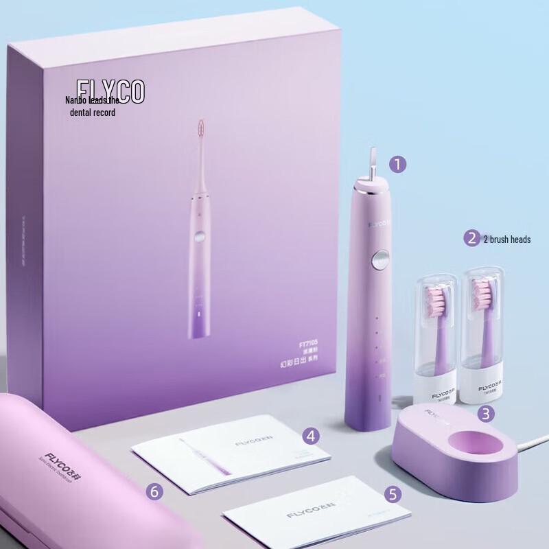 FLYCO FT7105 Sonic Electric Toothbrush for Adults