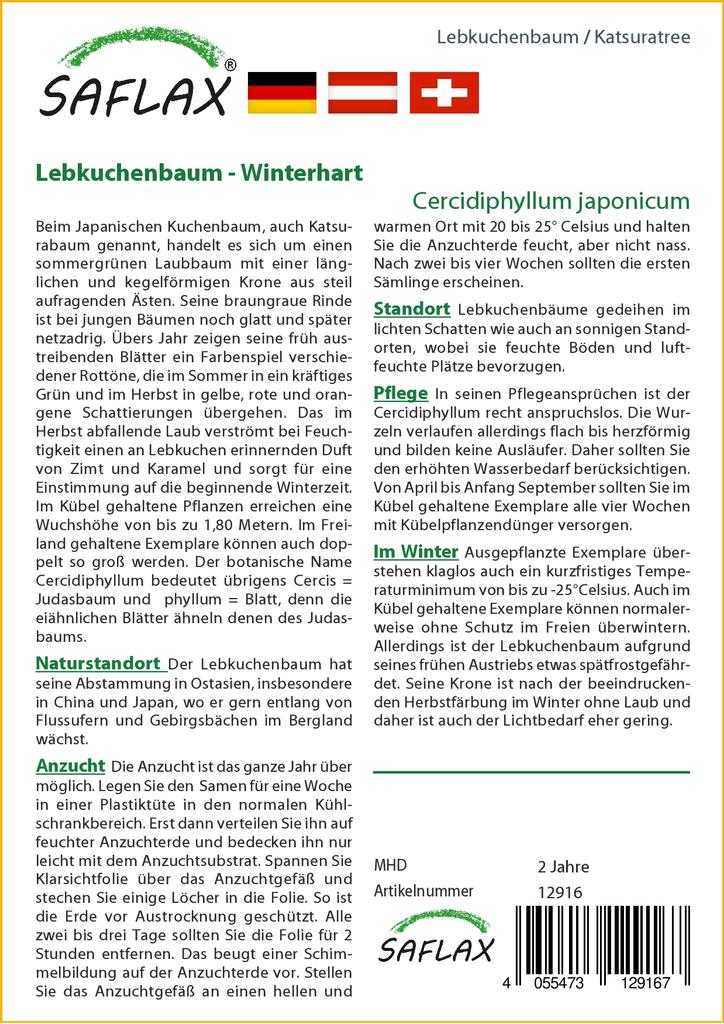 SAFLAX Katsuratree - 200 Samen - Cercidiphyllum japonicum