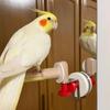 DIY Suction Cup Bird Climbing Perch Comfortable Grip Grinding Claws Pole  Tile Wall