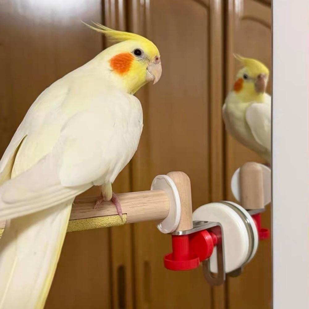DIY Suction Cup Bird Climbing Perch Comfortable Grip Grinding Claws Pole  Tile Wall