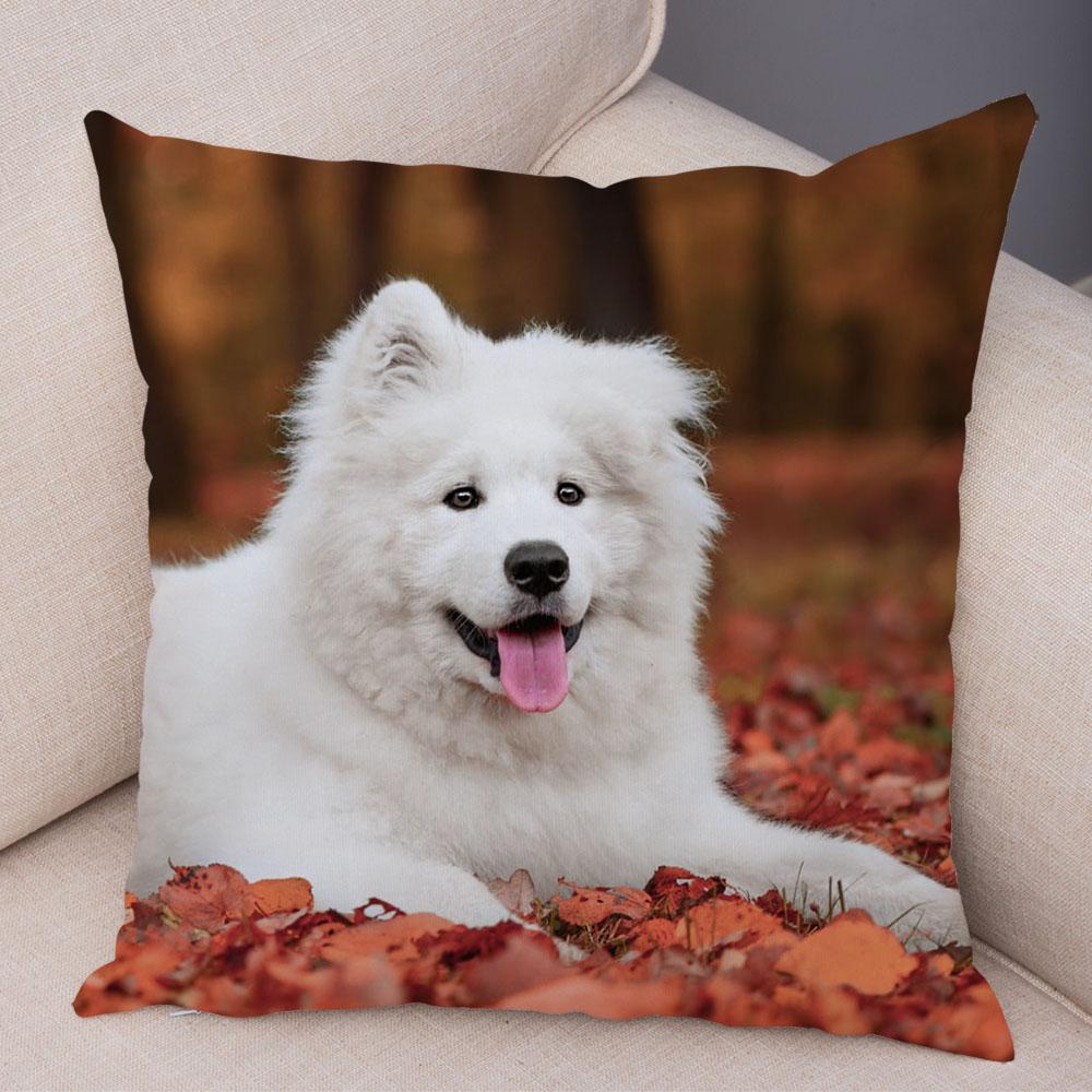 50 Stil Husă de Pernă Câine Alb Drăguț Samoyed Decor Husă de Pernă Animal de Companie Iubitor Husă de Pernă Moale de Pluș pentru Canapé Cameră Copii