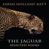 The Jaguar by Sarah HollandBatt Paperback Book 9781780377049