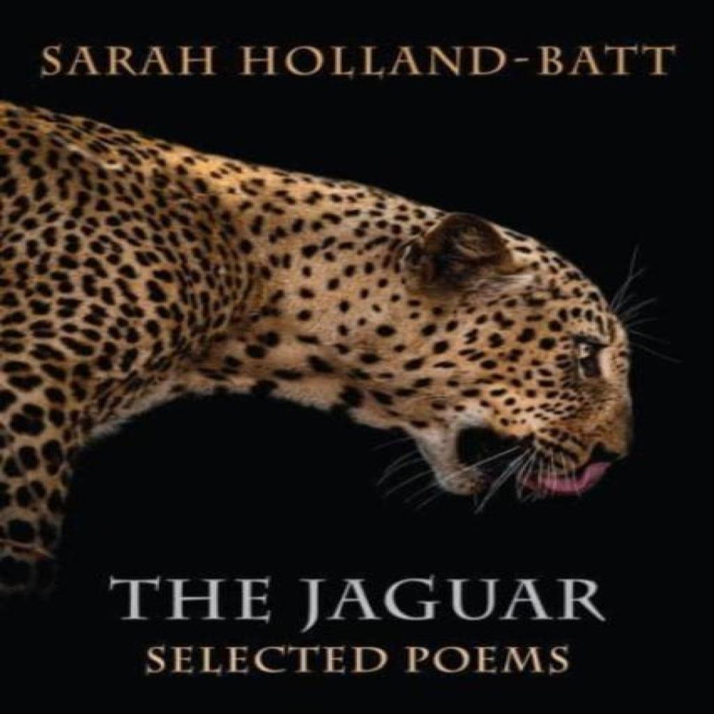 The Jaguar by Sarah HollandBatt Paperback Book 9781780377049