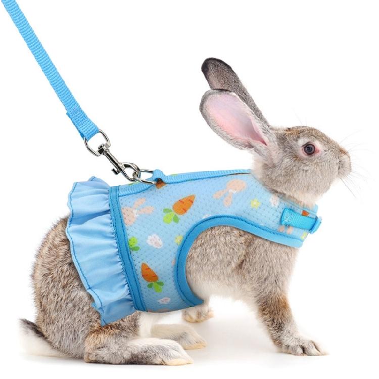Kaninchen Geschirr und Leine Kleintierkleidung für Kaninchen Meerschweinchen Kleintier