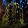 Solar Copper Wire LED String Lights - 8 Modes, Outdoor Waterproof, Colored Garden & Christmas Decoration Lights