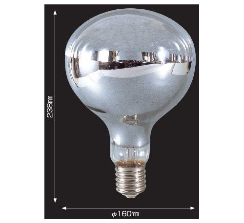 Nichido 500W Incandescent/Reflector Bulb Replacement for Safety Floodlights (110V) NRF-500