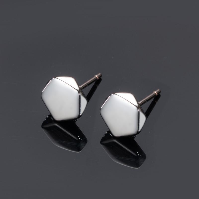 New 925 Sterling Silver Earrings AAA Zircon For Women Exquisite Student Girlfriend Jewelry Accessories Wedding Fashion Gift