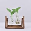 3 Styles Hydroponic Plant Vases Glass Vase Vintage Bonsai Flower Pot Terrarium Tabletop Tray Wooden Frame Home Decor