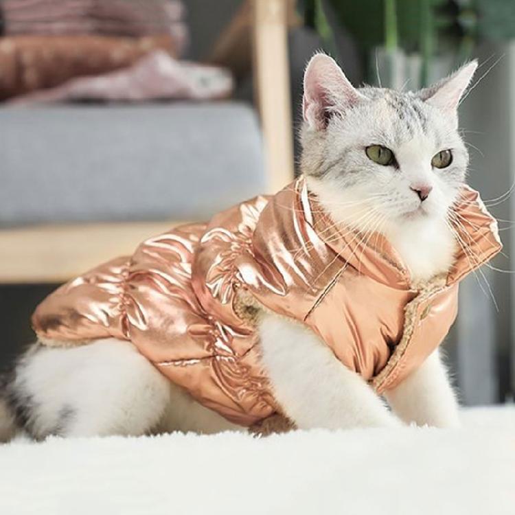 Warm Dog Clothes for Small Medium Dog Warm Cat Jackets Pet Clothing for Walking