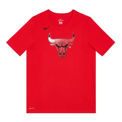 NBA Collaboration Dri-Fit Chicago Bulls T-Shirt Logo Round Neck Quick-Dry Short Sleeve Kids Tops Red 3Z2B7BBGJ-BUL