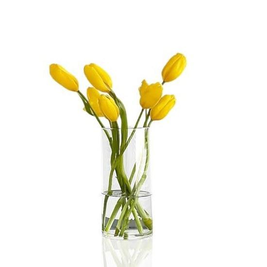 Shatter-resistant Impact-resistant Vase Children Pets Indoor Outdoor Decorative Flower Container 10X20CM