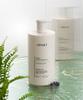 [2PACK] Scalp Care Fresh Scalp Shampoo 1000ml