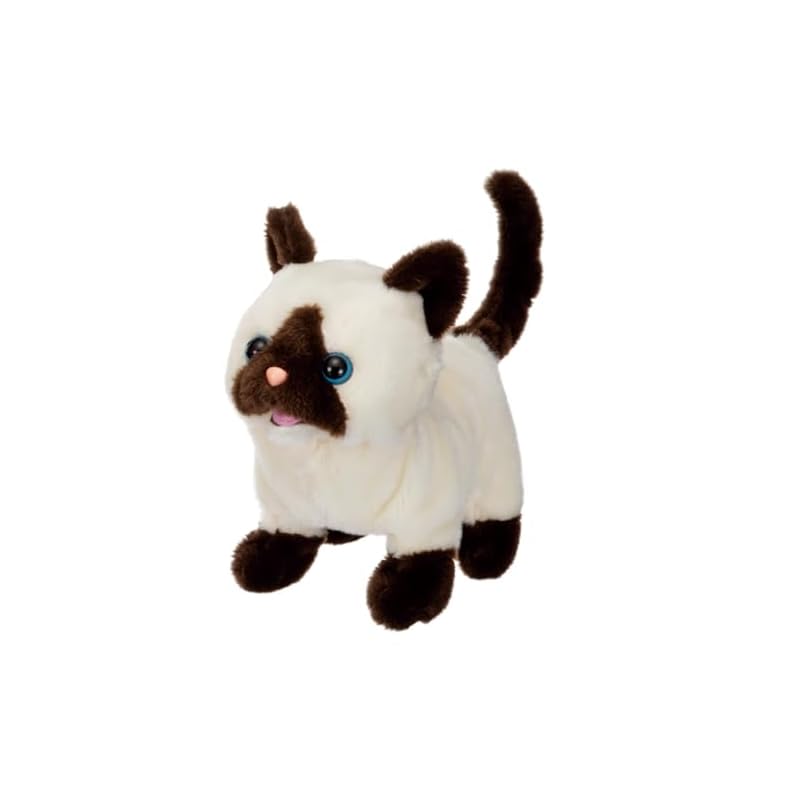 Iwaya Electric Animal Cat Plush Toy, Walks Slowly and Dashes Quickly, Piccoline Siamese, ST Mark Certified, Ages 3 and Up, Battery-Operated Toy