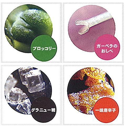 Raymay Fujii Handy Zoom Microscope, Pink, RXT203P