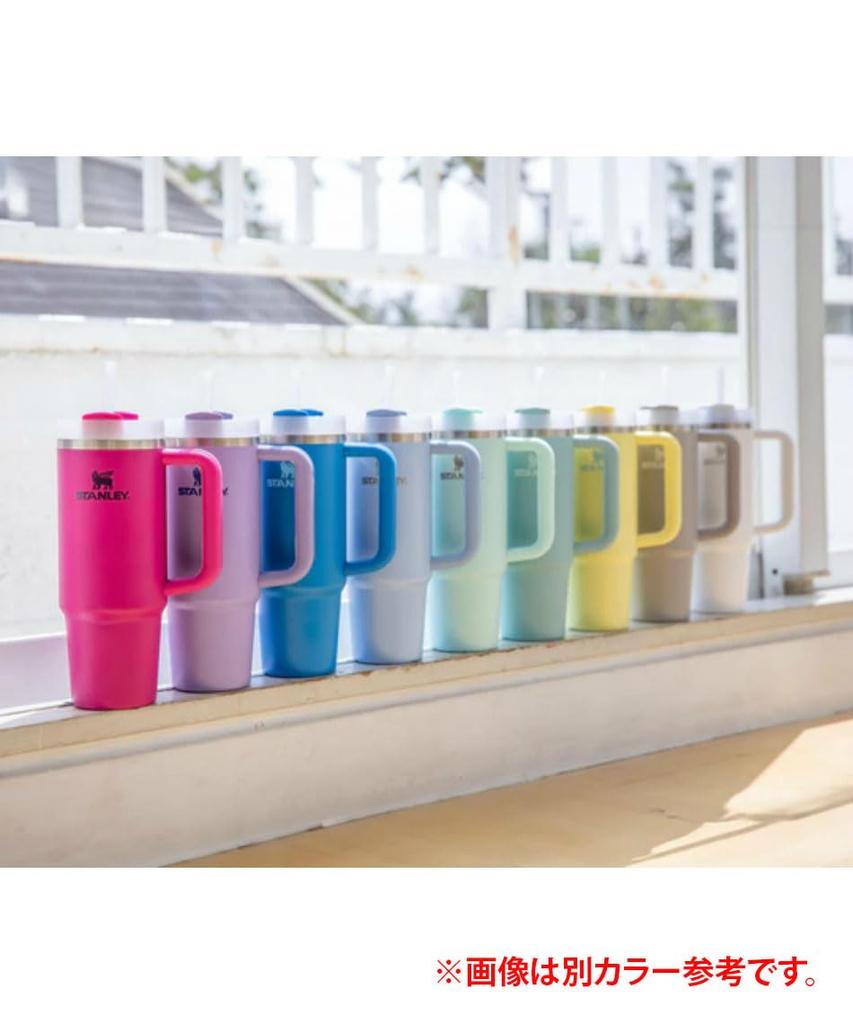 STANLEY Wasserflasche Becher Vakuum Slim Quencher H2.0 0,88L 10-10827-525 (Lavendel/FF)