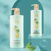 Shulei Green Tea Seed Silicone-Free Shampoo