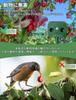 Animal Pest Cat Bird Solar Standby Pest Control LED Infrared Two Ultrasonic Pest Control IP66 Cat Repellent Repellent, Repellent, Repellent,