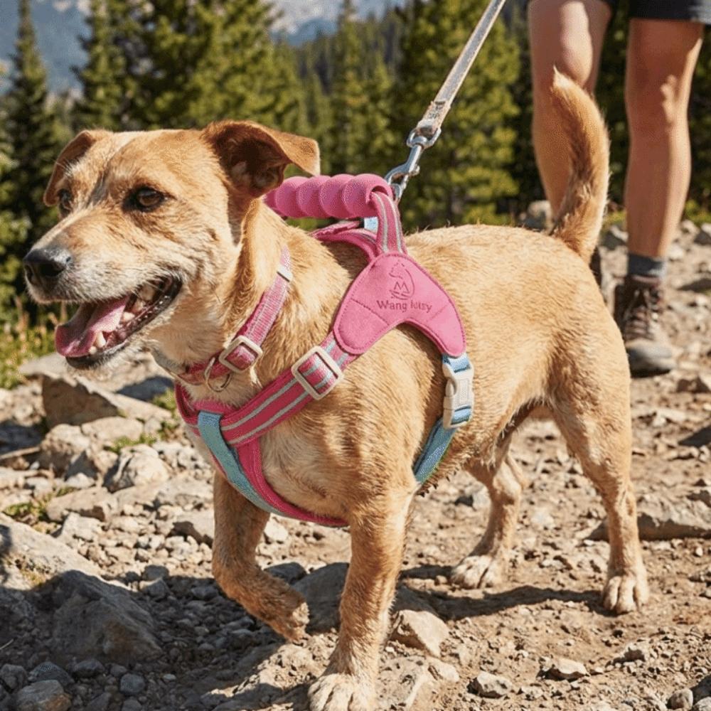 Breathable Dog Harness Vest Saddle-shaped Back Comfortable Escape Proof Vest with Handle No-Pull Y-shaped Dog Harness Outdoor