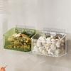 Transparent Ginger Garlic Storage Baskets Plastic Kitchen Storage Rack  for Home