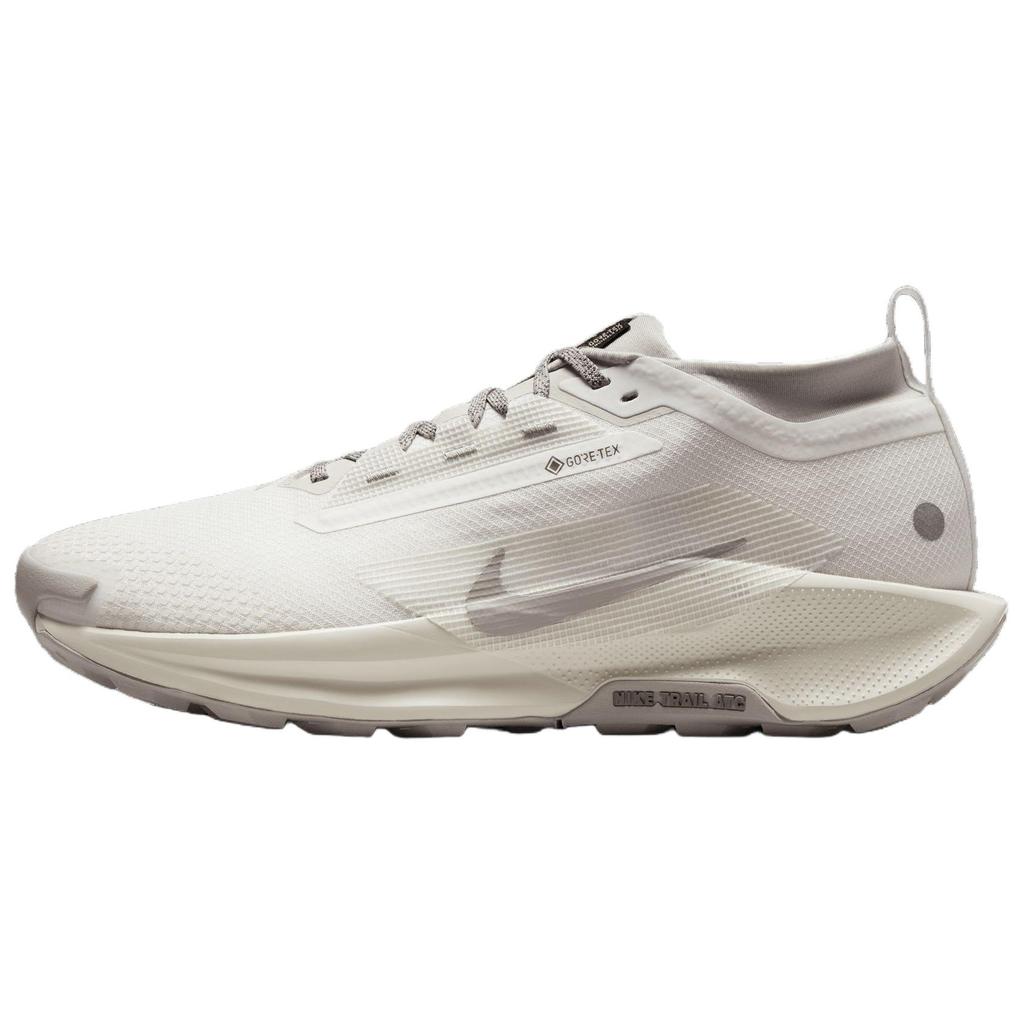 Nike Pegasus Trail 5 GORE-TEX Summit White Light Bone Men Sneakers College-Grey HQ7494-100