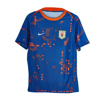 Nike Dri-Fit SS25 SFS Shandong Taishan Training Warm-Up Breathable Moisture-Wicking Lightweight Slim Fit Short Sleeve Soccer Jersey IB3665-463