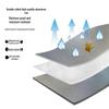 Outdoor Aluminum Film Picnic & Camping Mat