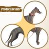1/6 Dog Figure Animal Figurine Diorama Miniature Layout Realistic Educational Toy