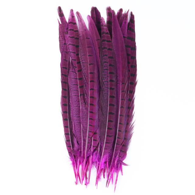 10pcs Multicolor Chicken Feathers Natural Pheasant Tail Feathers 25-30 Cm for Party Clothing Jewelry Making Plume Decoration