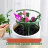 Înverzire şi amenajare – Susținere plante