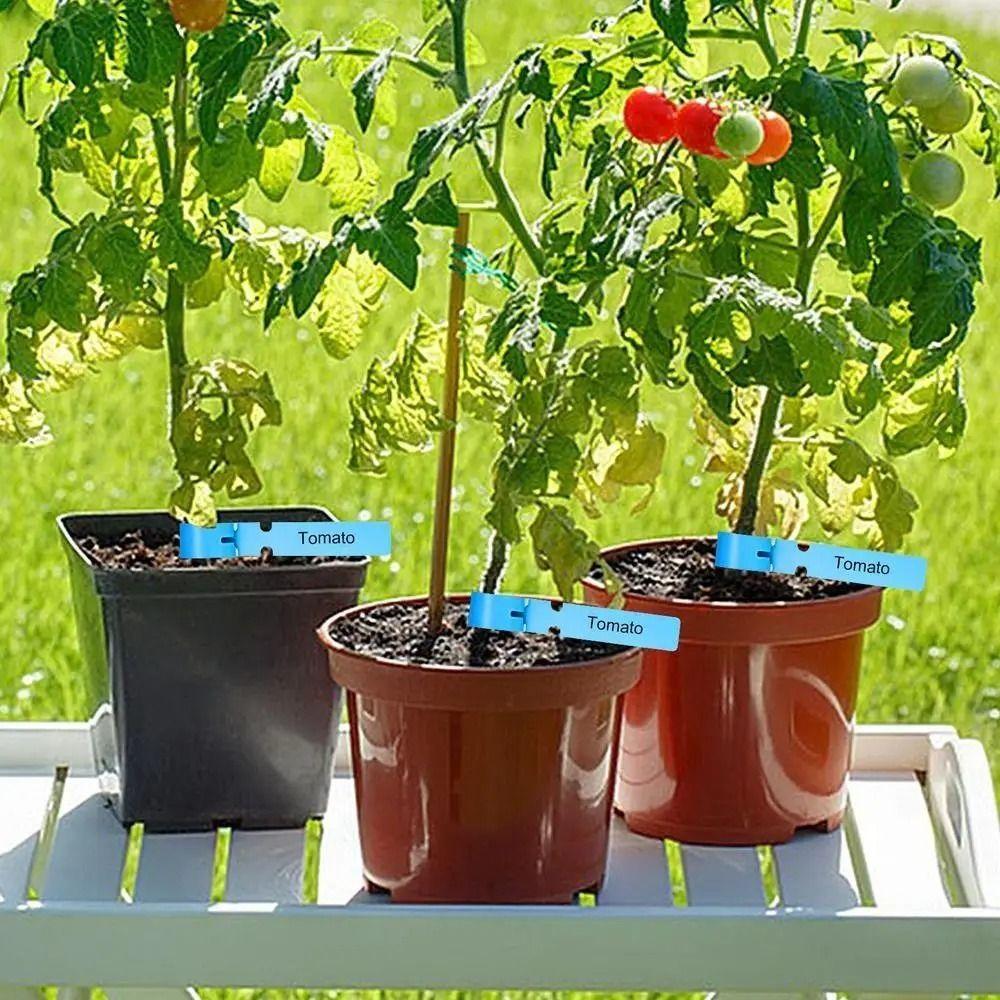 100pcs/set Hanging Nursery Garden Labels Vegetables Gardening Plant Set Labels Marker Name Tags