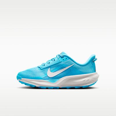 Nike ACG Pegasus GS Baltic Blue 32