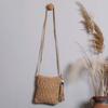 Straw Weaving Shoulder Bags for Women Tassel Beach Crossbody Bag Messenger Bag