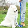 2.5cm Nylon Hand Free Dogs Leash Walking Training Lead Police Style Control Dog Lead Leash Small Dog Chain Safety Pet Leashes