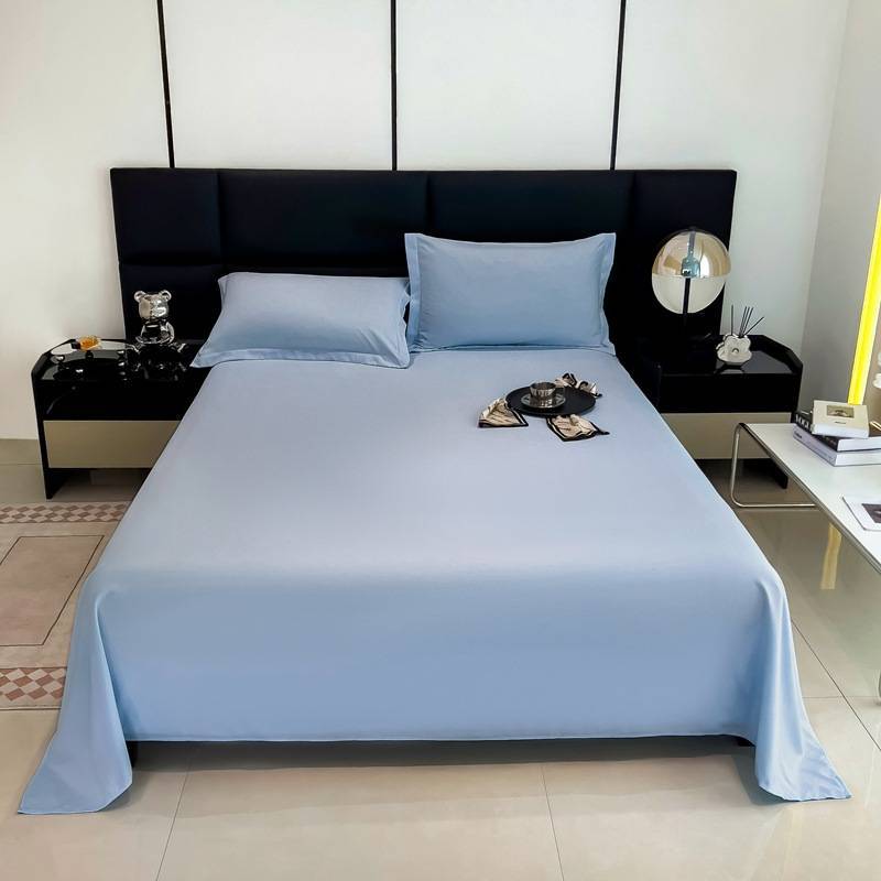 Modern Minimalist Cotton Bed Sheet With Soft Washable Fabric For Single Dorm Bed