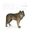 Wild Animal Landscape Pvc Wolf Pack Figurines With Static Display For Collectors And Decor