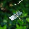 12cm Simulation Dragonfly Outdoor Mosquito Repellent Insect Model Garden Hanging Ornaments