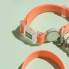 Set Collar Leash Transparent Buckle Candy Color Small Medium Dogs Collar Fashion Cat Pet Rope Puppy