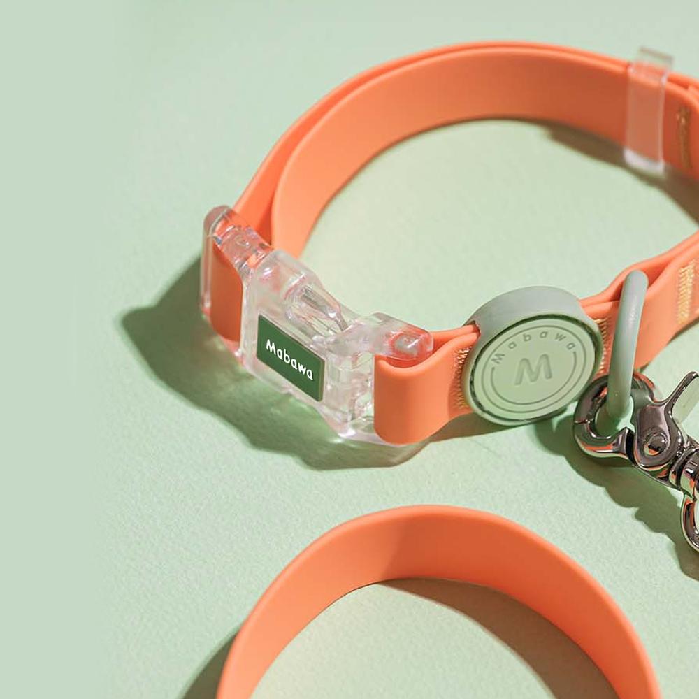Set Collar Leash Transparent Buckle Candy Color Small Medium Dogs Collar Fashion Cat Pet Rope Puppy