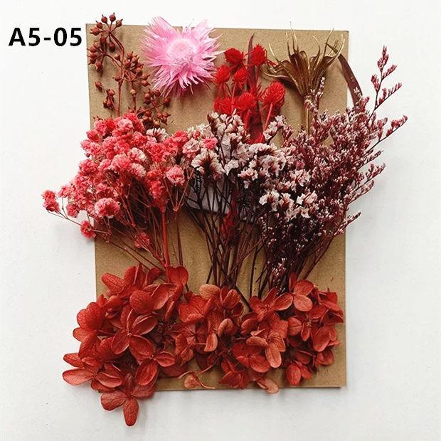 Exquisite Eternal Dry Flower Ancient Style Group Fan Material Pack for Children's Handmade Exclusive Decoration Dried Flowers