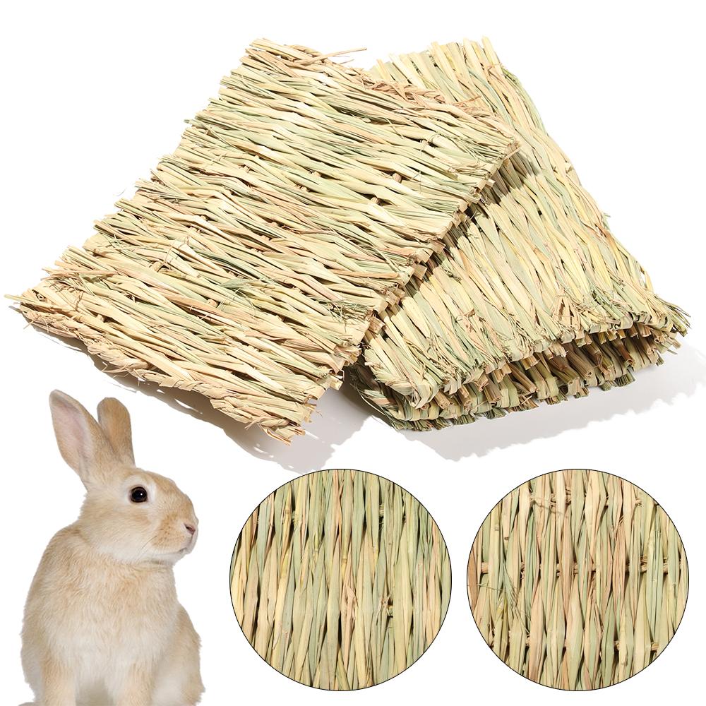 rabbit chew mat