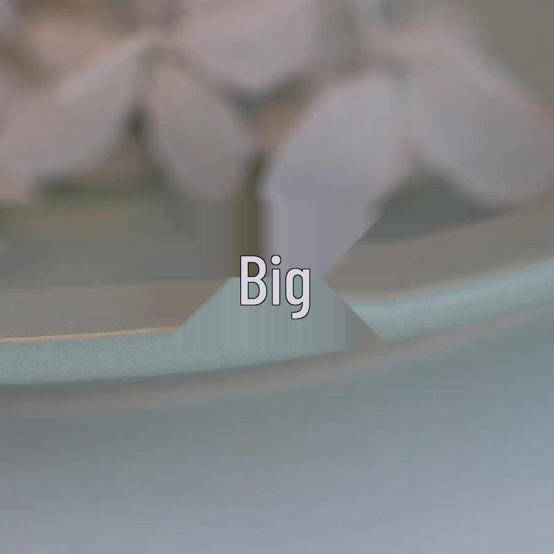 Women's Diamond Five-Petal Flower Stud Earrings - Versatile Simple Cartilage Ear Jewelry